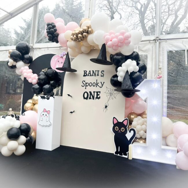 1st birthday event planner burnham on crouch, maldon, brentwood, Southminster, south woodham ferrers, rayleigh, brentwood, canvy island, althorne, lathingdon, basildon, hornchurch