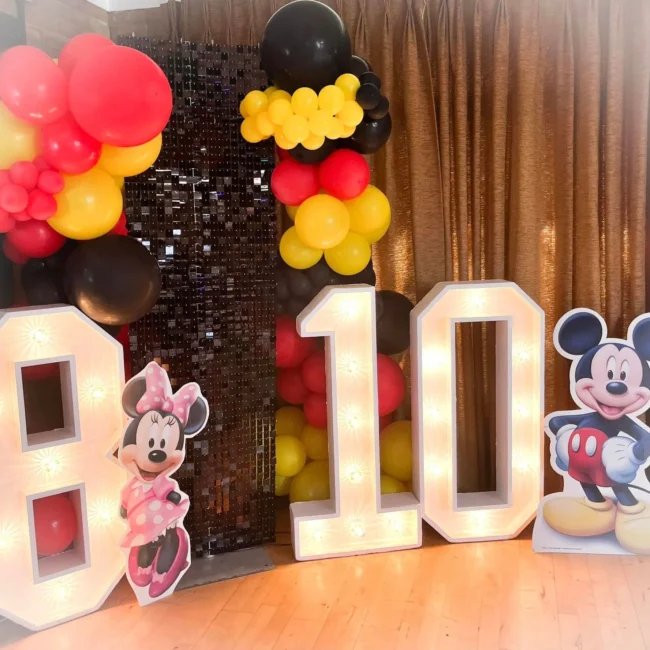 disney party decration burnham on crouch, maldon, brentwood, Southminster, south woodham ferrers, rayleigh, brentwood, canvy island, althorne, lathingdon, basildon, hornchurch